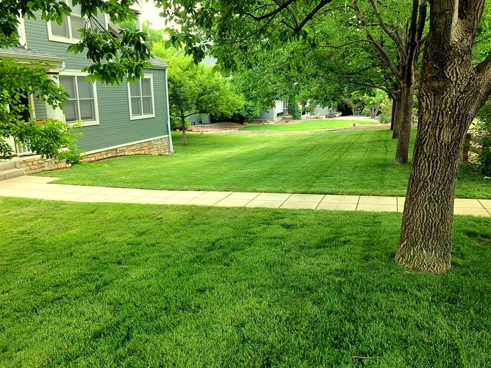 Custom lawn care service in Louisville, CO by JMK Lawn Service