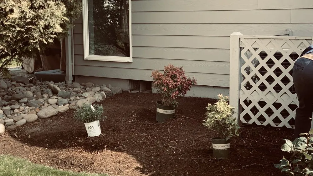 Trusted lawn care service experts serving Salem, OR - JML Landscape Maintenance