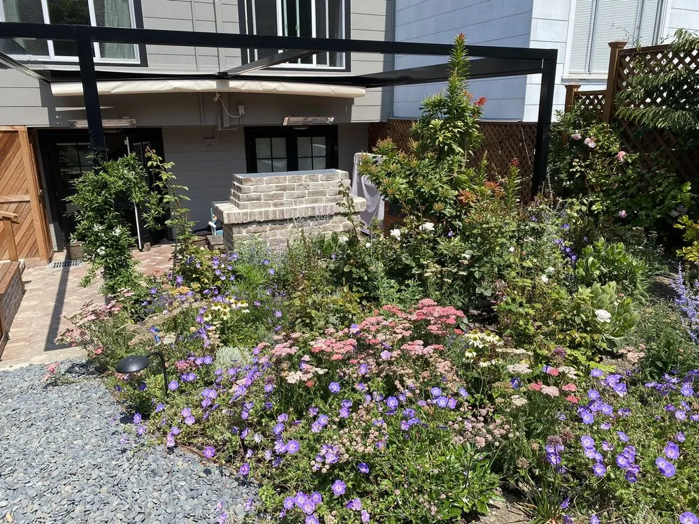 Expert landscaping services in San Francisco, CA by JML Landscapes