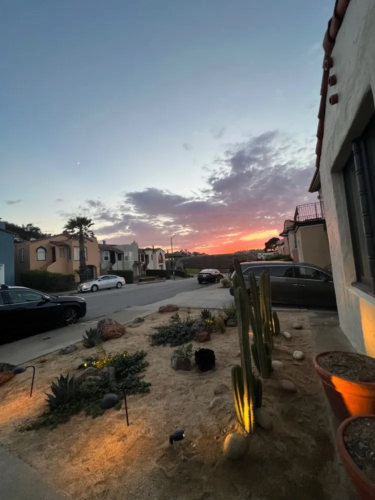 Top-rated landscape installation in San Francisco, CA - JML Landscapes