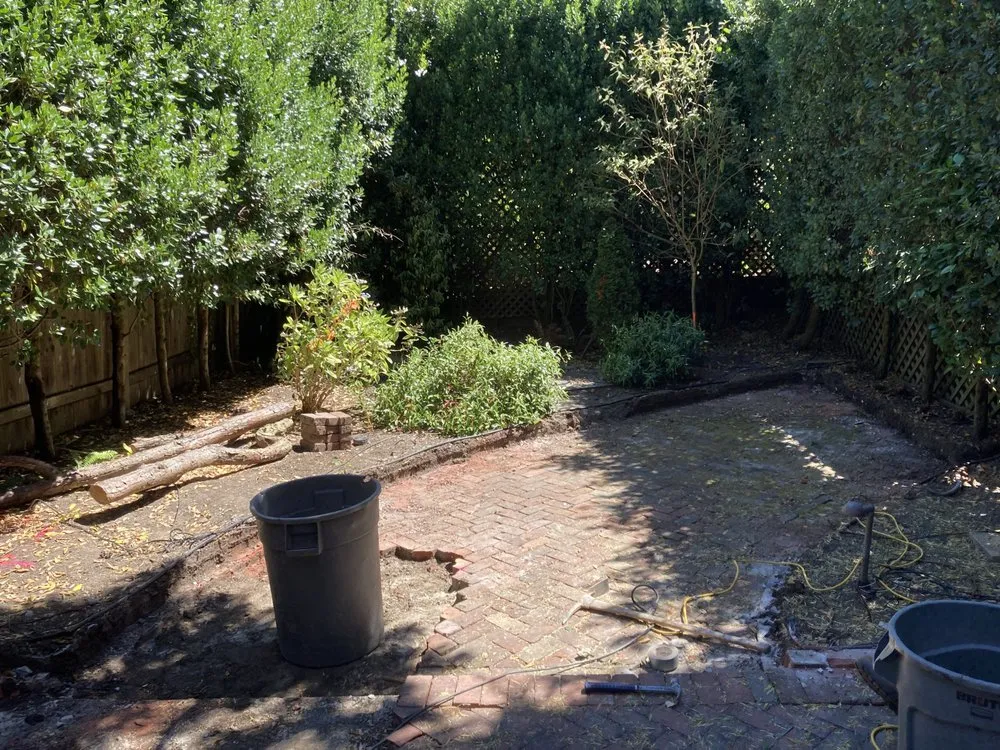 Reliable yard cleanup service experts serving San Francisco, CA - JML Landscapes