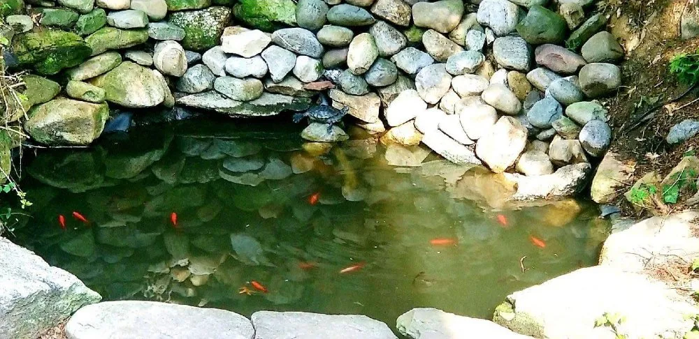 Reliable garden landscaping for beautiful yards in Philadelphia, PA by JML Landscaping