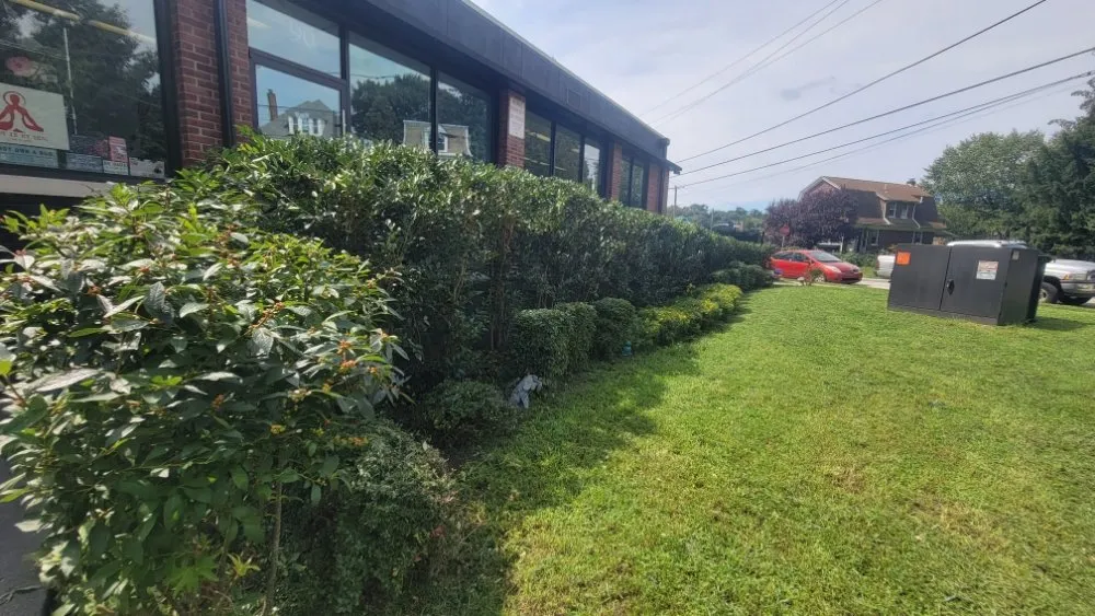 Affordable yard maintenance for outdoor upgrades in Philadelphia, PA by JML Landscaping