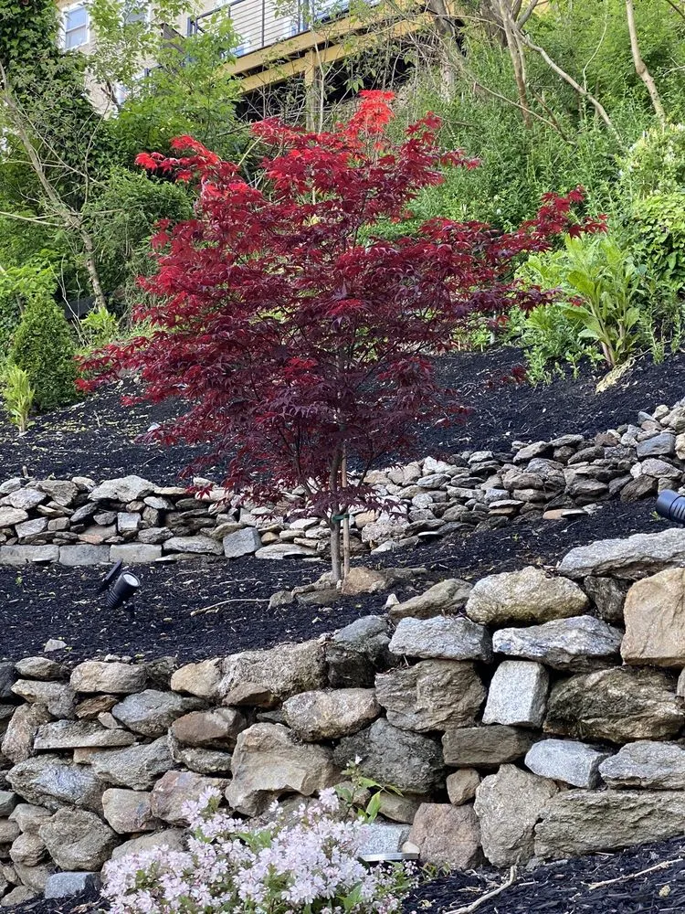 Reliable landscape installation for outdoor upgrades across Philadelphia, PA - JML Landscaping