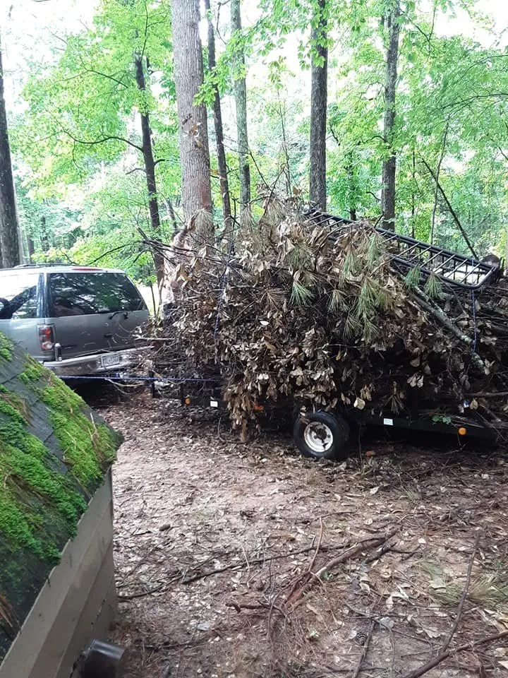 Expert landscape design in Carrollton, GA - JML Lawn and More