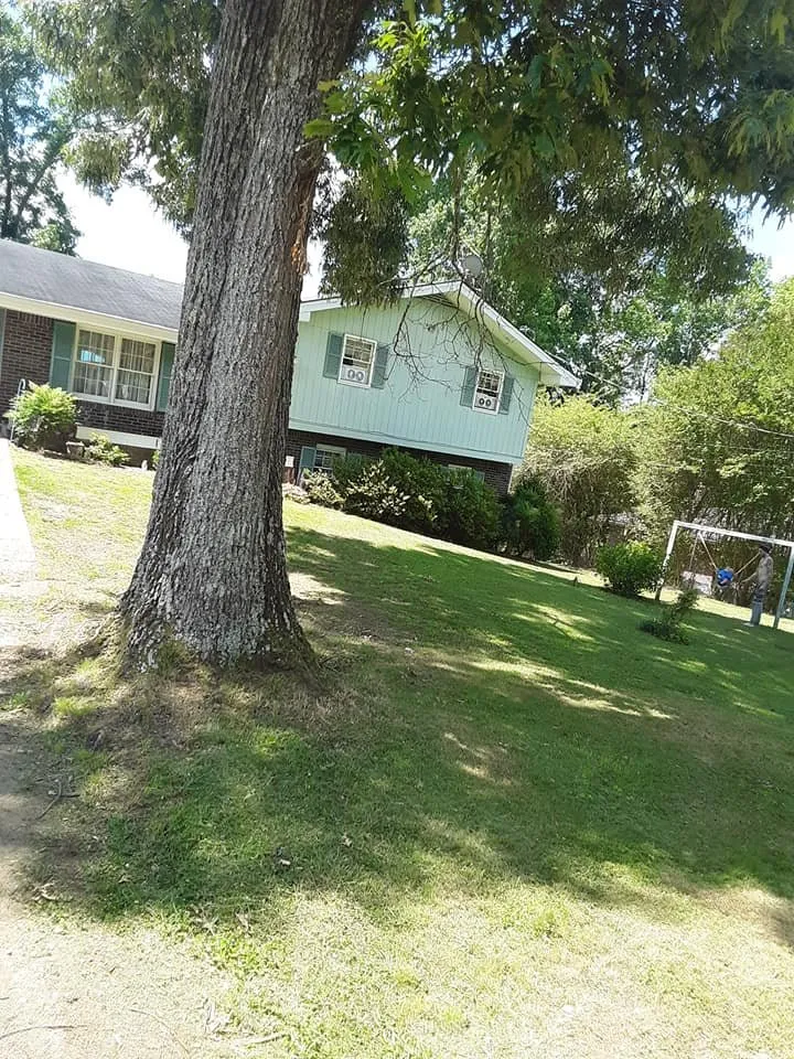 Custom lawn care service for outdoor upgrades across Carrollton, GA - JML Lawn and More