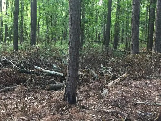 JML Lawn and More Logo