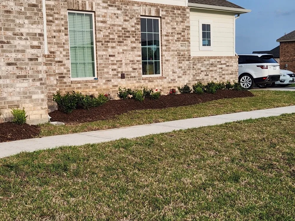 Affordable yard maintenance near you in Rosharon, TX by JML Lawn Services