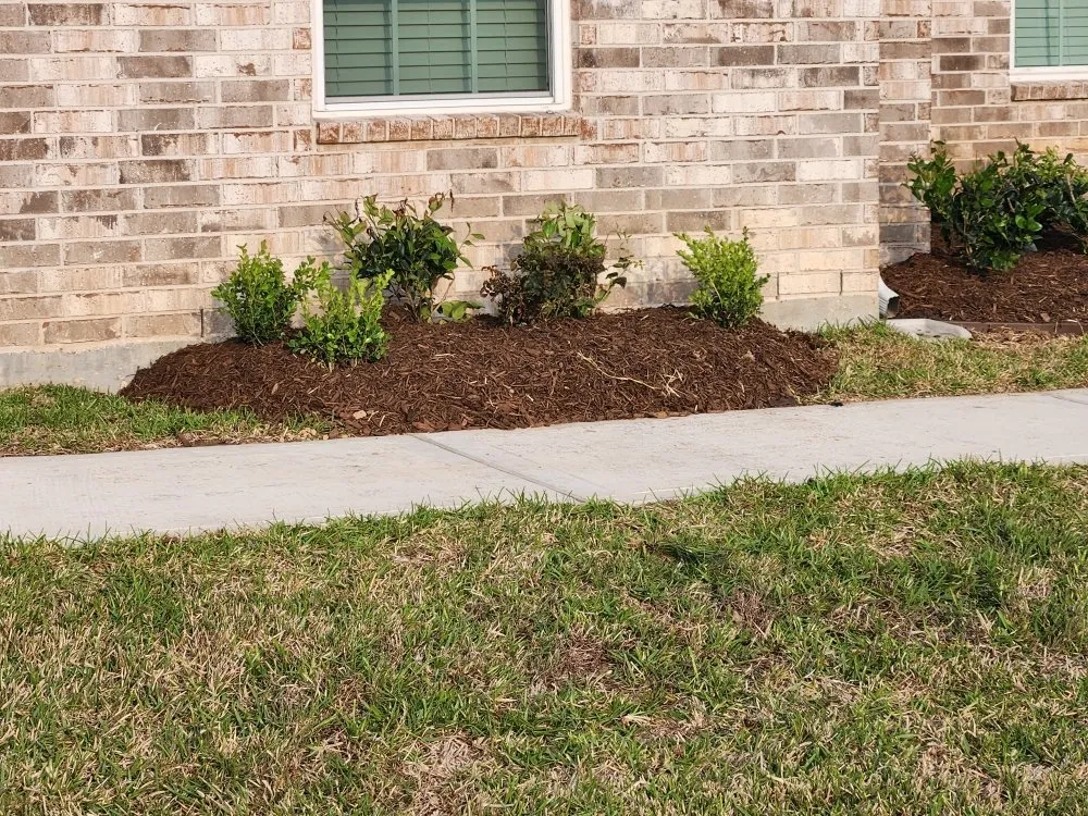 Local garden landscaping for homes across Rosharon, TX - JML Lawn Services