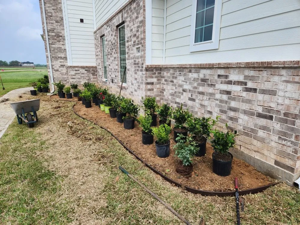 Top-rated landscape design in Rosharon, TX - JML Lawn Services