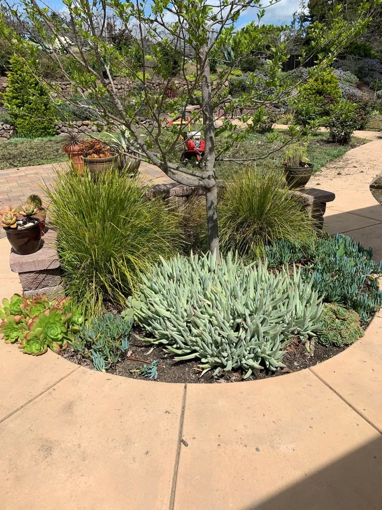 Expert residential landscaping for year-round maintenance across Augusta, GA - Jmls Home Solutions