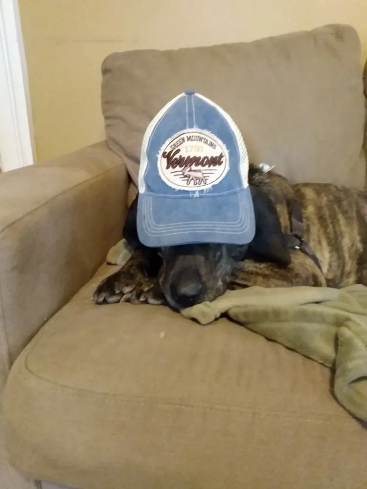 Custom garden landscaping in Danbury, CT by J.M.M. Landscaping & Design