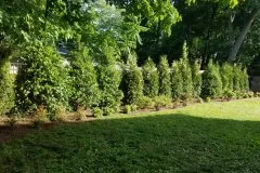 Trusted lawn mowing service near you in Moriches, NY by JMM Landscaping & Masonry