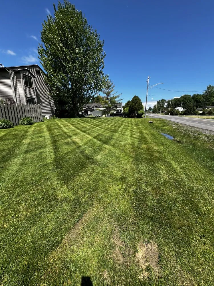 Trusted lawn care service experts serving Cicero, NY - JMM Lawn & Scape