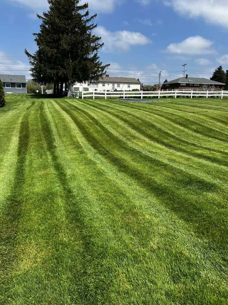 Expert landscaping services experts serving Cicero, NY - JMM Lawn & Scape