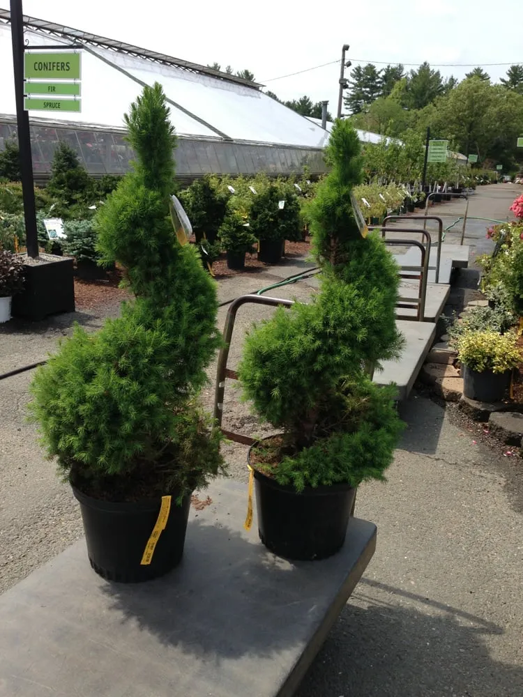 Affordable residential landscaping for residential properties across Billerica, MA - J.M.Mullen & Co Landscaping & Snow Removal