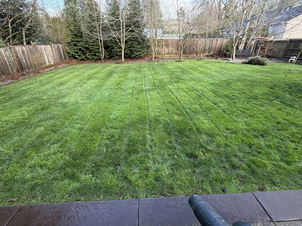 Trusted landscape installation experts serving Scio, OR - JMN Lawn Service