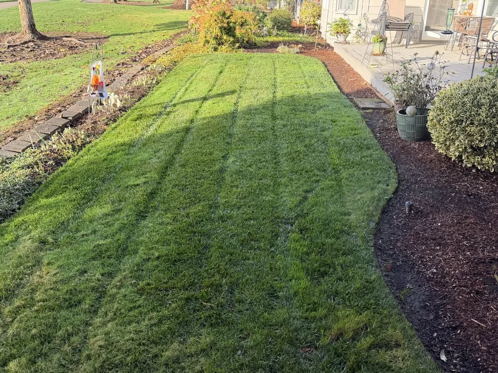 Local landscaping services in Scio, OR by JMN Lawn Service
