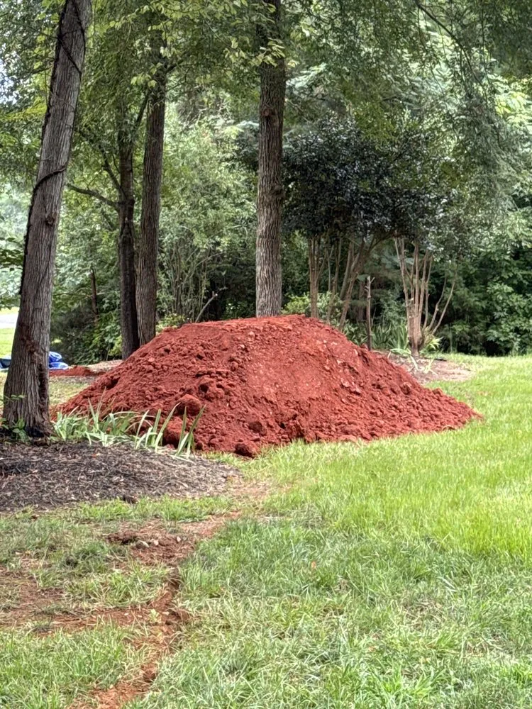 Trusted yard cleanup service for beautiful yards across York, SC - Jmoos Handyman Contracting