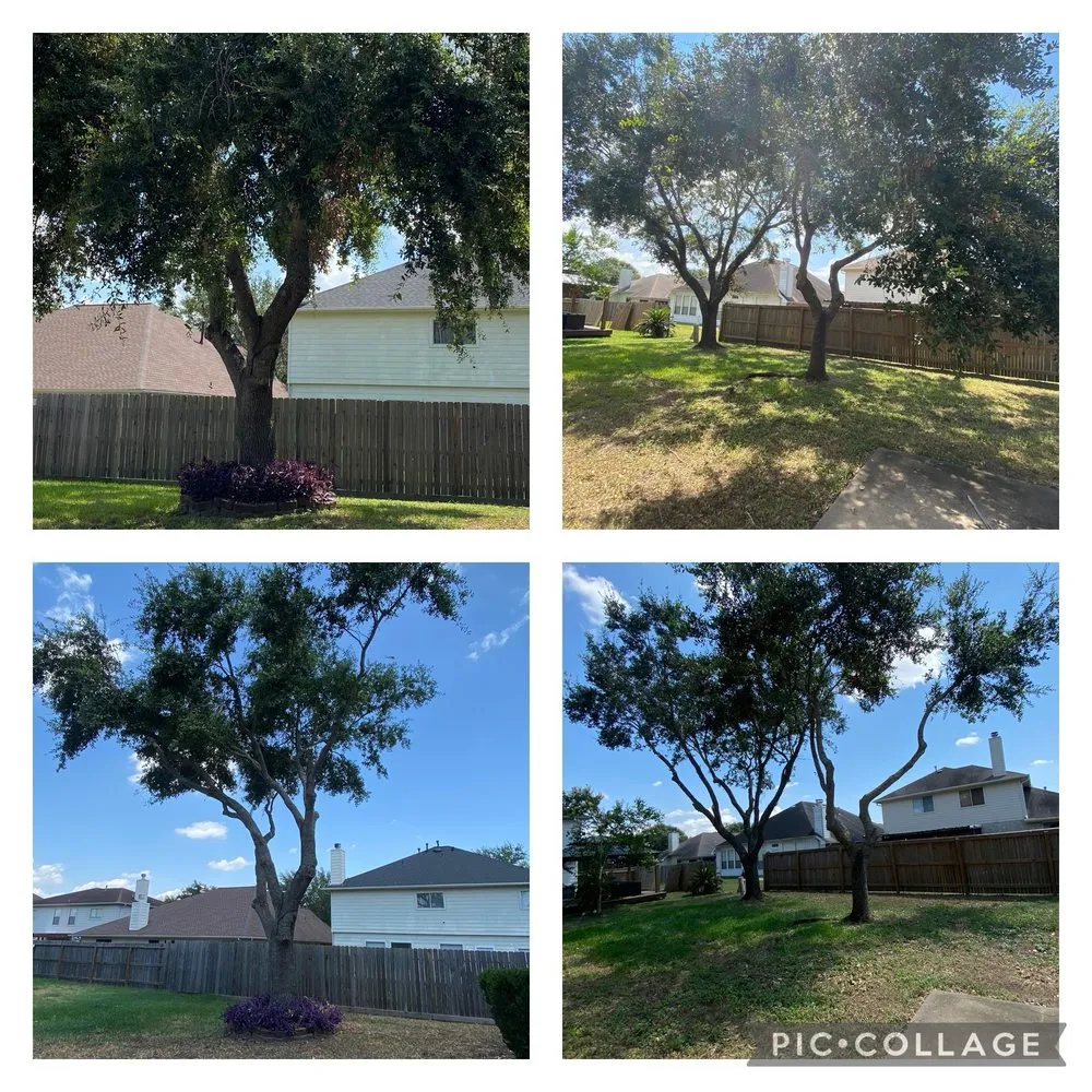 Reliable lawn mowing service in Houston, TX by JMP Landscape