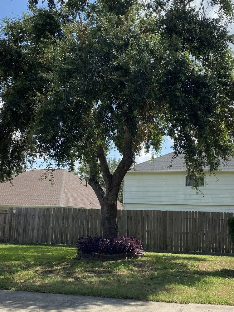 Expert outdoor landscaping with custom design across Houston, TX - JMP Landscape