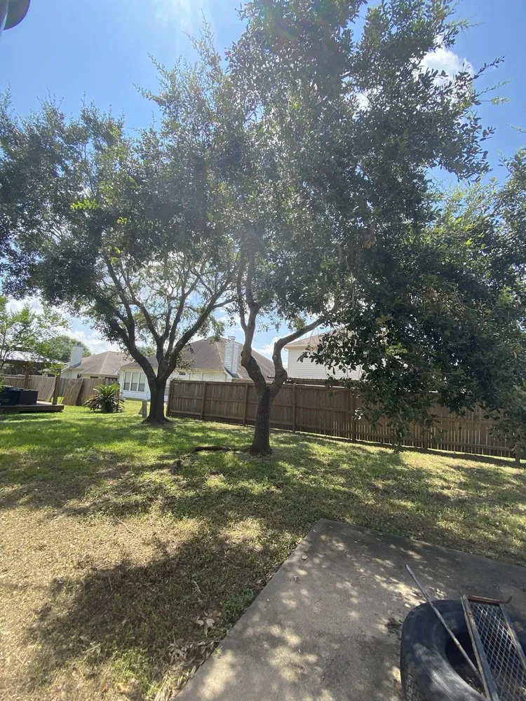 Local landscape design in Houston, TX - JMP Landscape