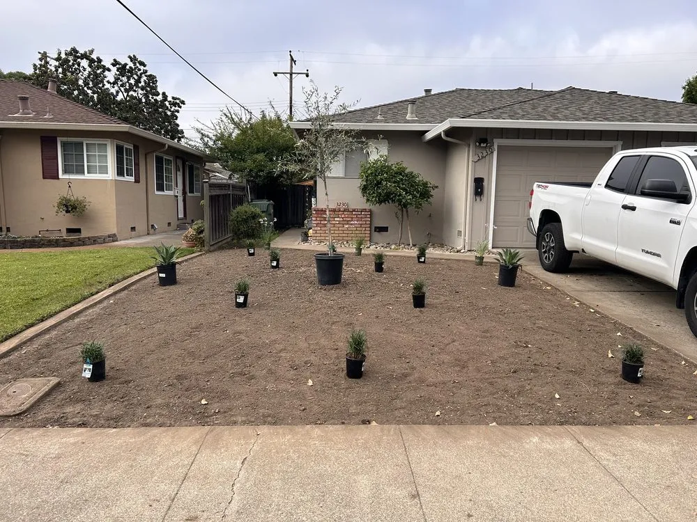 Top-rated lawn care service with custom design across San Jose, CA - J.M.P Landscaping