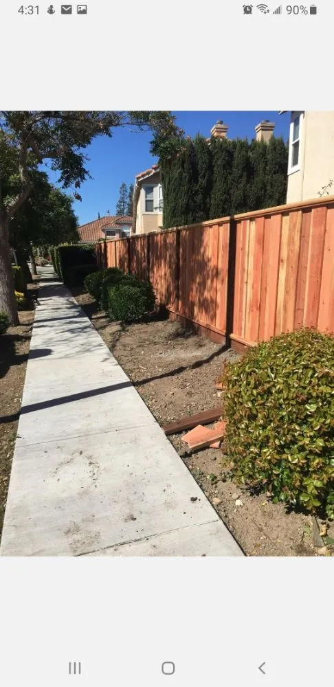 Affordable yard cleanup service near you across San Jose, CA - J.M.P Landscaping