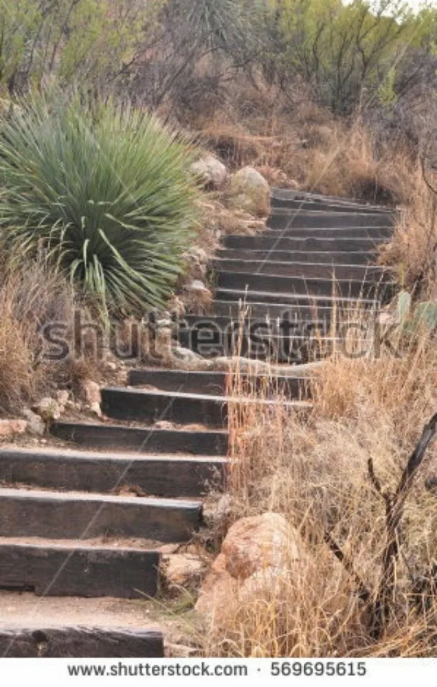 Professional garden landscaping in San Jose, CA by J.M.P Landscaping