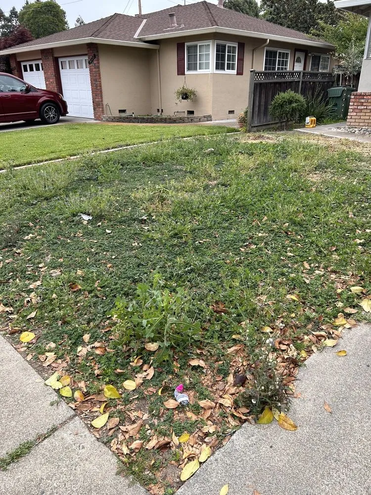 Local lawn mowing service in San Jose, CA - J.M.P Landscaping