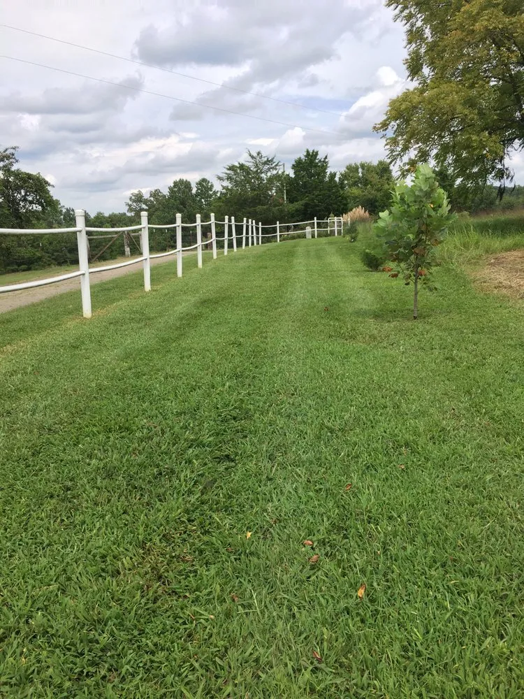 Affordable lawn care service in Bloomington Springs, TN - JMR Lawn Care
