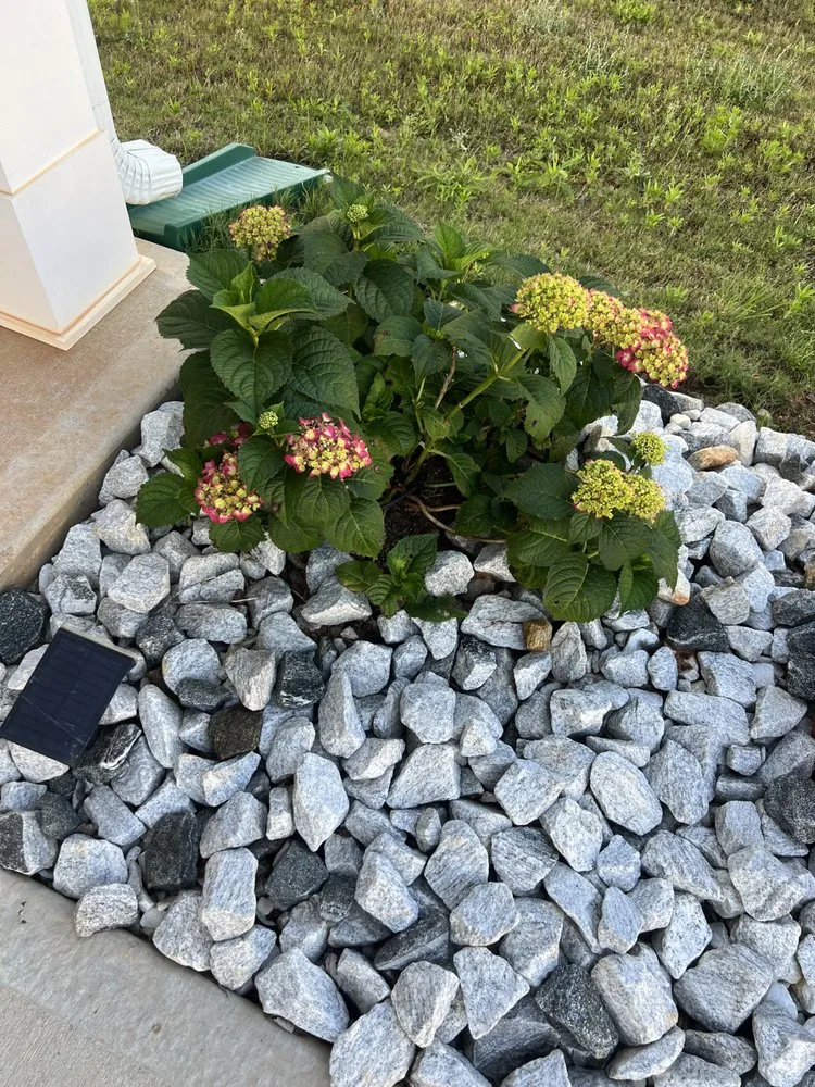 Reliable landscaping services for beautiful yards across Greenville, SC - JMR Services