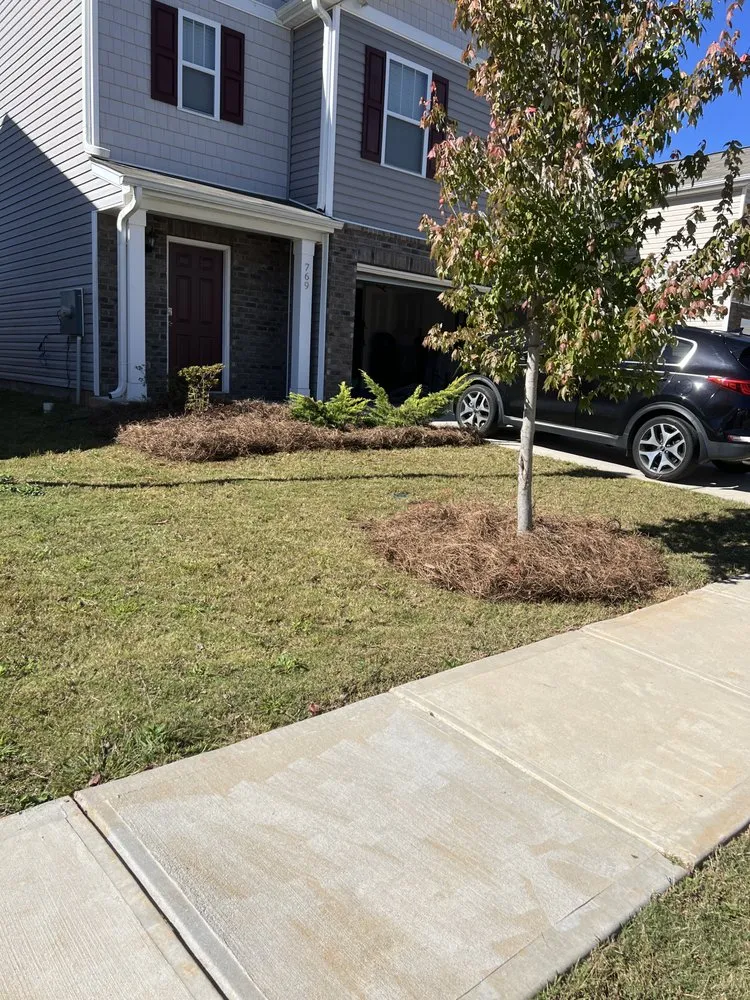 Affordable lawn care service experts serving Greenville, SC - JMR Services