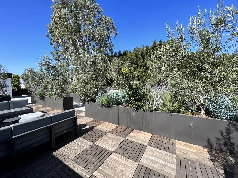 Custom residential landscaping in Beverly Hills, CA by JMS Design Associates