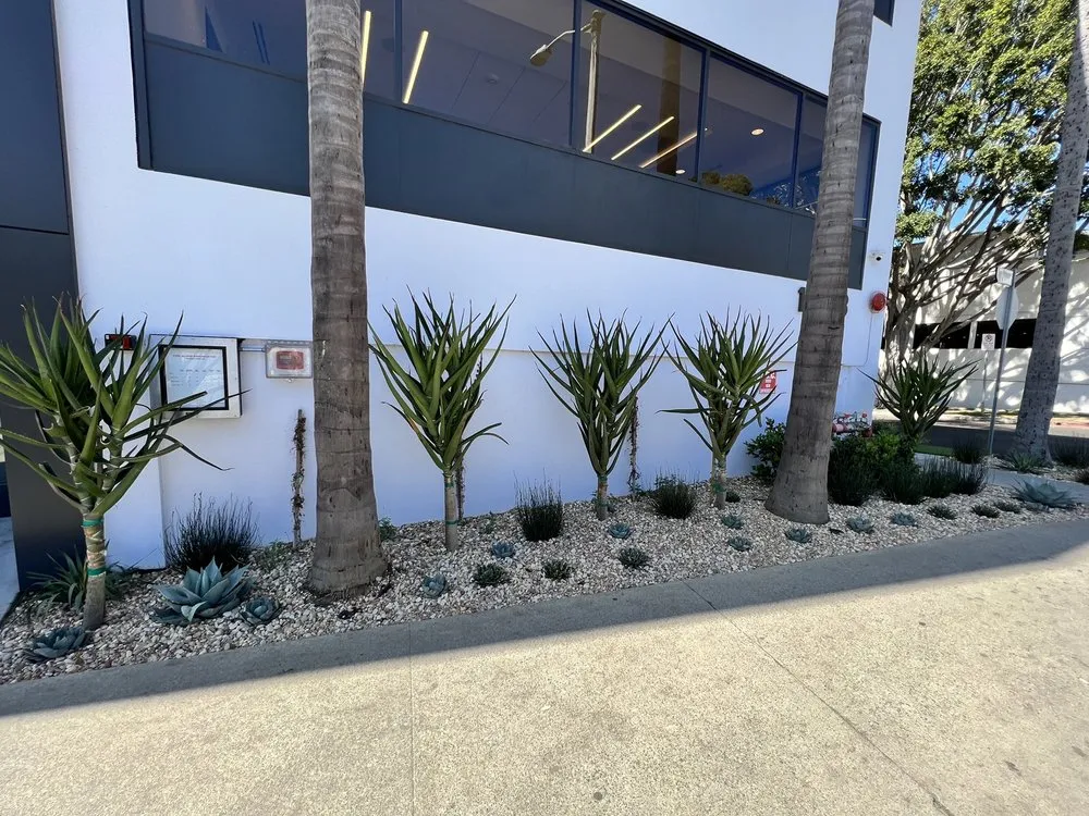 Reliable lawn mowing service experts serving Beverly Hills, CA - JMS Design Associates