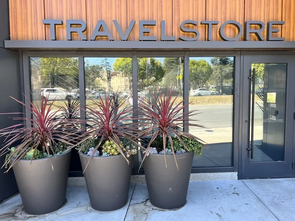 Local landscaping services for beautiful yards in Beverly Hills, CA by JMS Design Associates