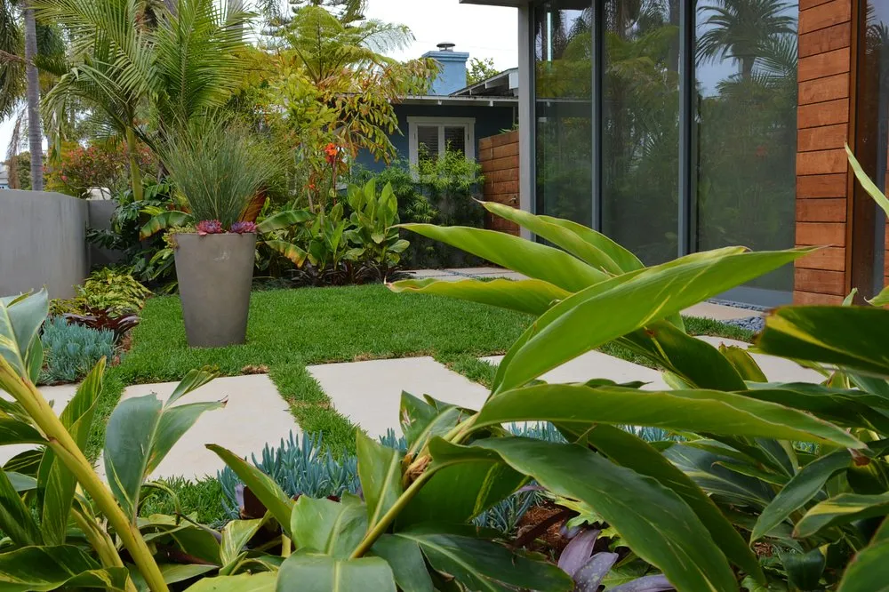 Local yard maintenance in Beverly Hills, CA by JMS Design Associates