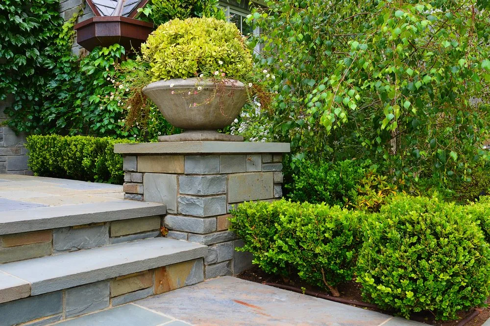 Local yard cleanup service for year-round maintenance in Beverly Hills, CA by JMS Design Associates