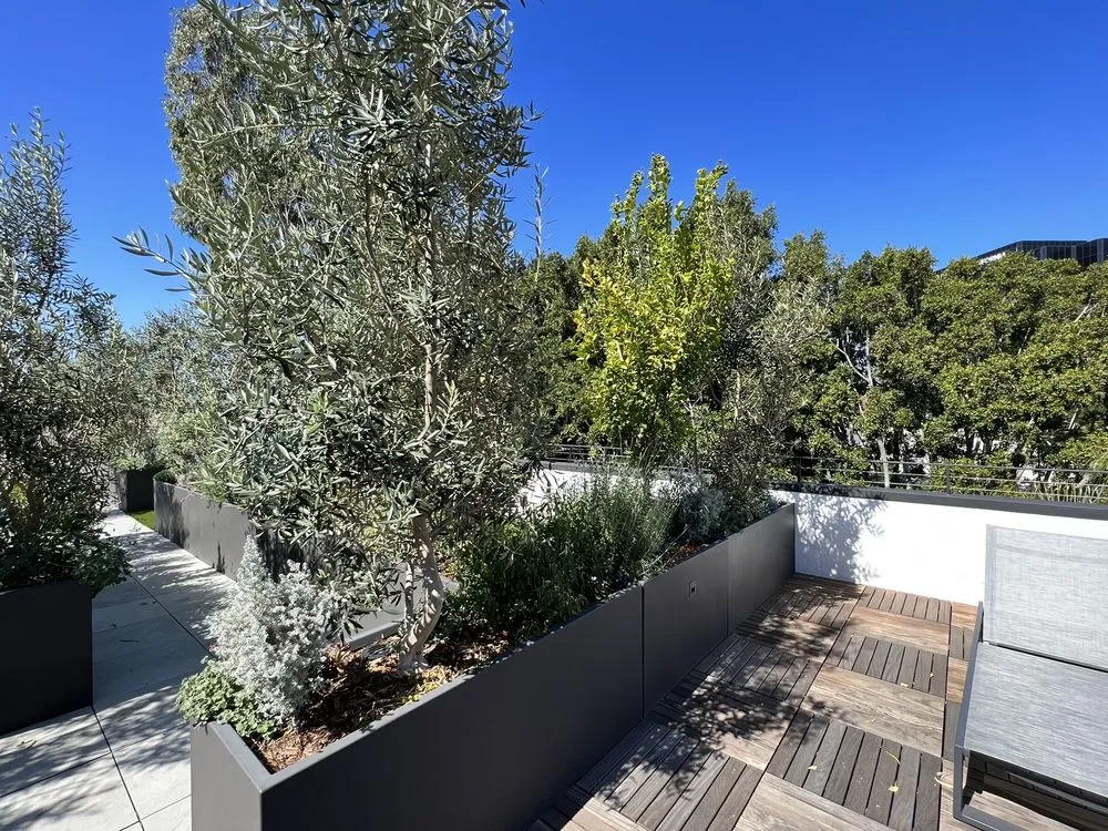 Reliable yard maintenance for outdoor upgrades across Beverly Hills, CA - JMS Design Associates