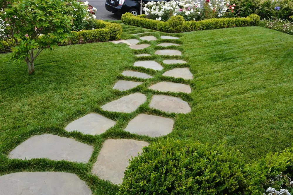 Affordable landscape installation for beautiful yards in Beverly Hills, CA by JMS Design Associates