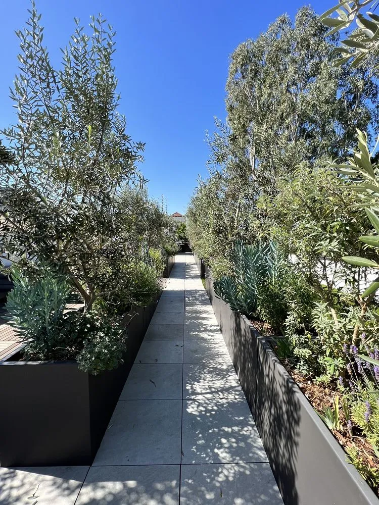 Top-rated yard cleanup service in Beverly Hills, CA - JMS Design Associates