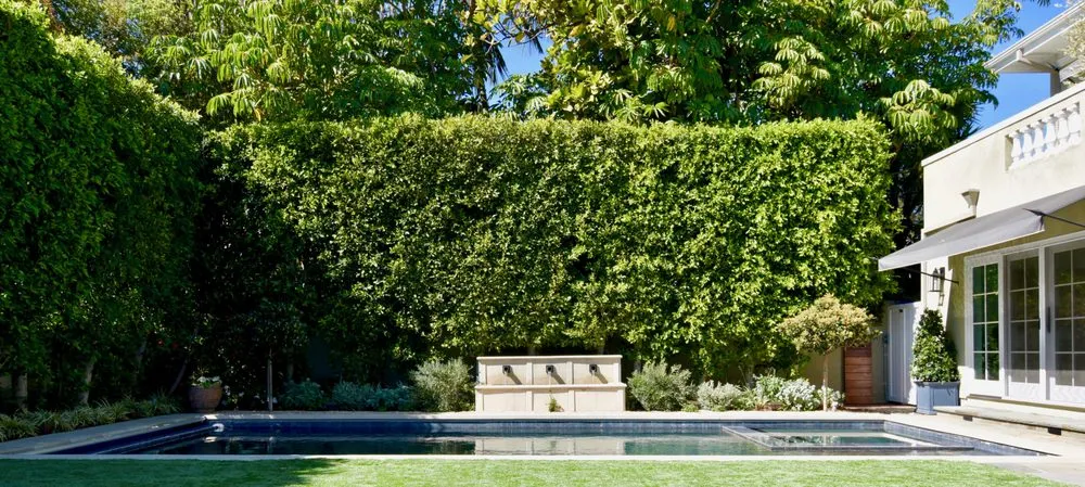 Expert residential landscaping for homes in Beverly Hills, CA by JMS Design Associates