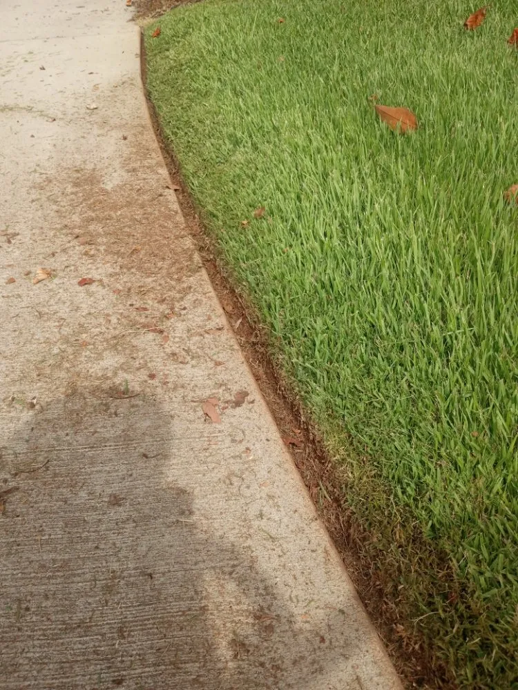 Top-rated landscape design in Taylors, SC - J&M's Down to Earth Lawn Care