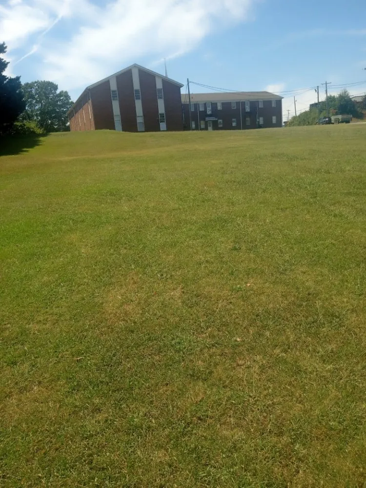 Affordable outdoor landscaping experts serving Taylors, SC - J&M's Down to Earth Lawn Care