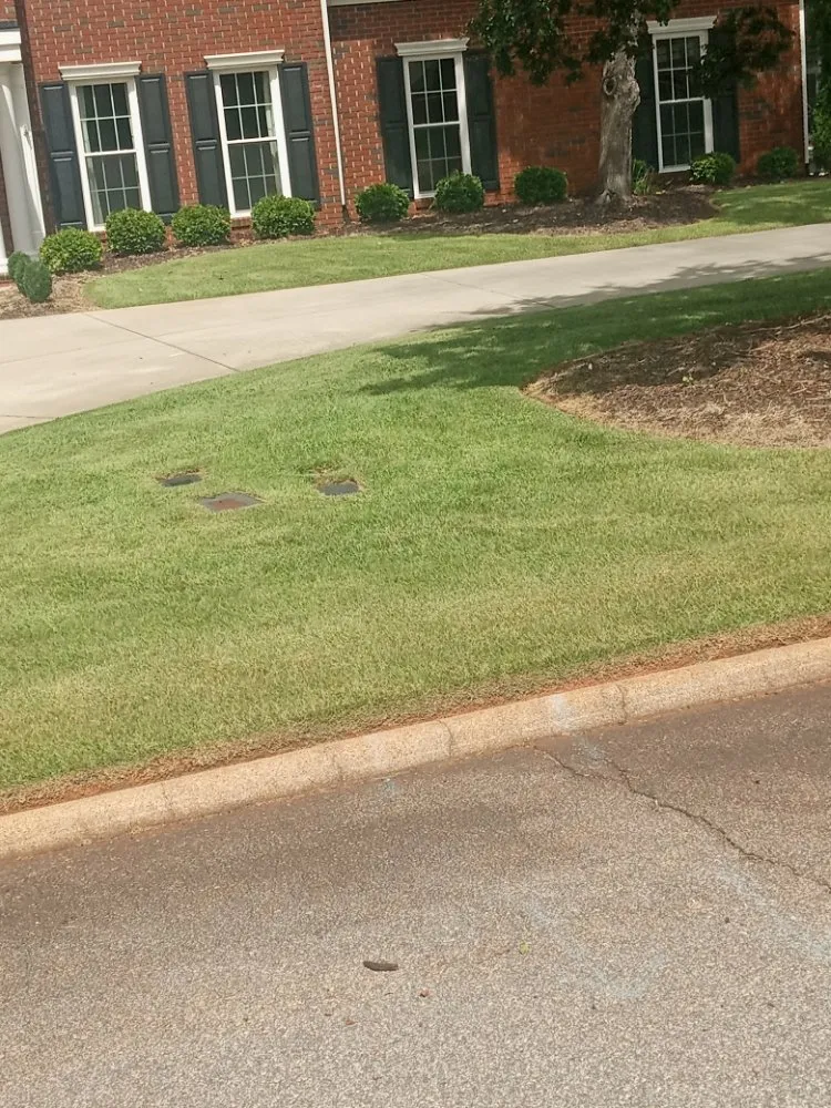 Custom lawn care service experts serving Taylors, SC - J&M's Down to Earth Lawn Care