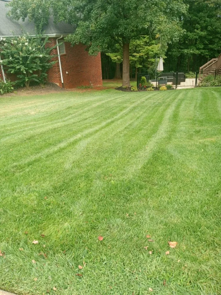 Affordable lawn care service with custom design across Taylors, SC - J&M's Down to Earth Lawn Care