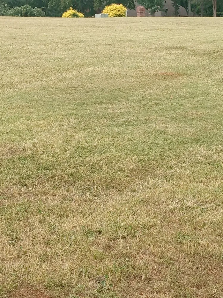 Affordable outdoor landscaping experts serving Taylors, SC - J&M's Down to Earth Lawn Care