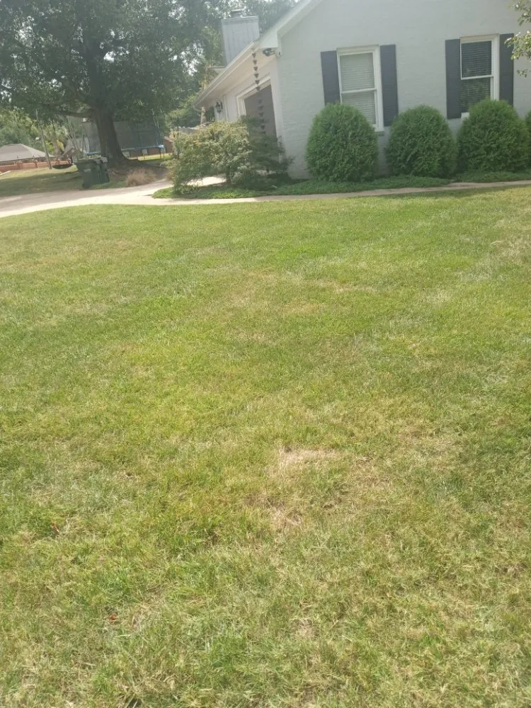 Top-rated yard cleanup service in Taylors, SC - J&M's Down to Earth Lawn Care