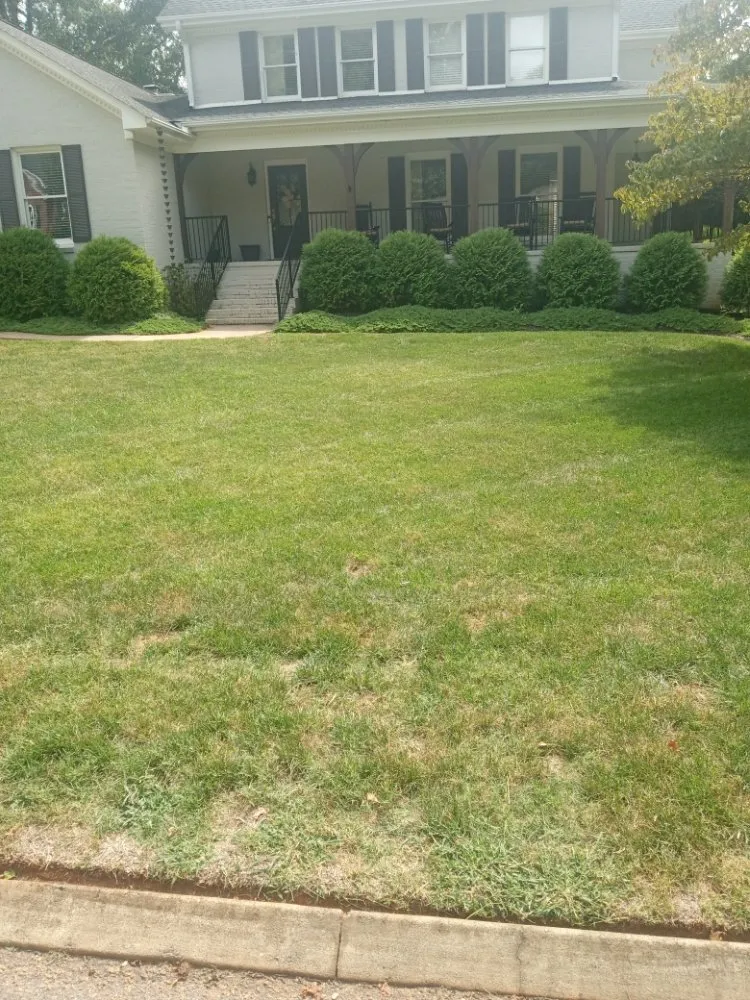 Local garden landscaping in Taylors, SC - J&M's Down to Earth Lawn Care