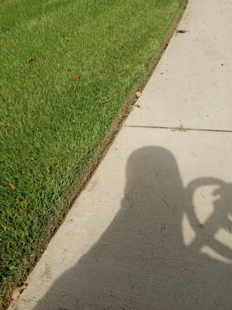 Top-rated landscape installation in Taylors, SC - J&M's Down to Earth Lawn Care